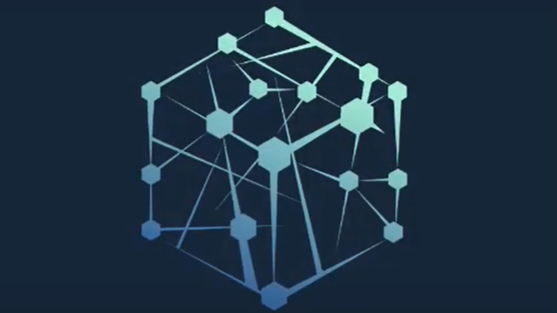 Octaplus