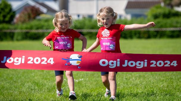 Ogi Jogi
